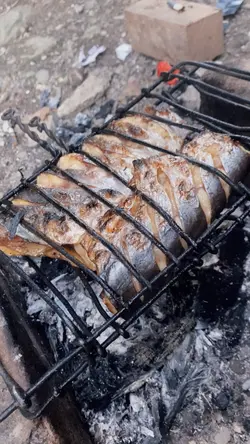 CINEMATIC IKAN BAKAR