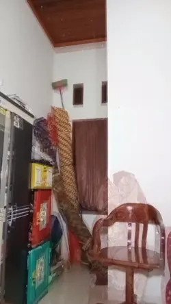 #menhilang 