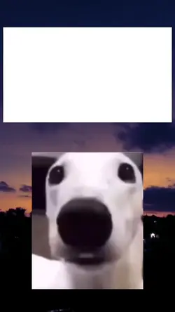 anjing ketar ketir