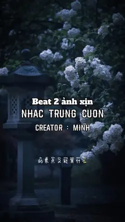 [2 ảnh] nhạc trung