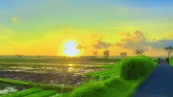 slowmo filter hd