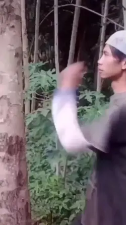 MengOld nih