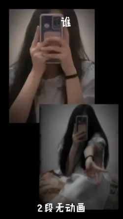 粉丝投稿 谁 2段无动画 不锁比例