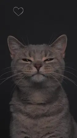 kucing aesthetic