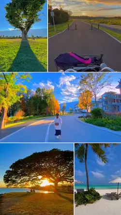 Vlog grid estetik