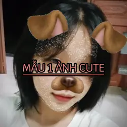 Mẫu 1 ảnh cute