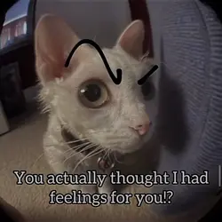 Send this to your