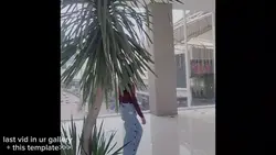 las vid in u gallery