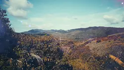 Nice nature 