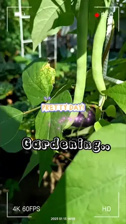 Gardening..