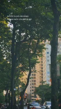 2 ảnh 