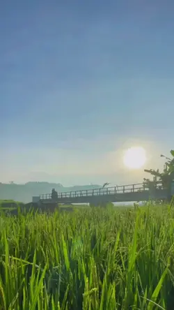 vlog / cinematic