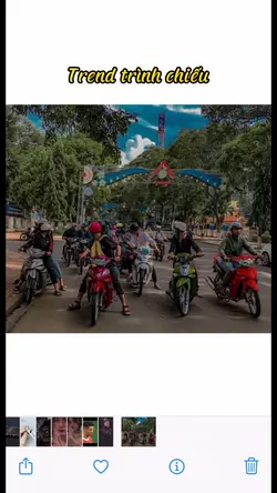 Trình chiếu 