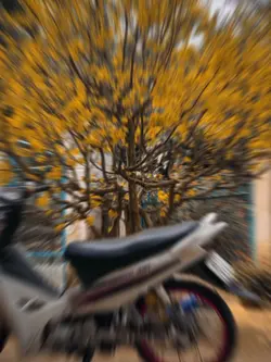 Trend Hot TikTok