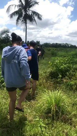 Vlog