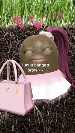 Filter Snapchat 