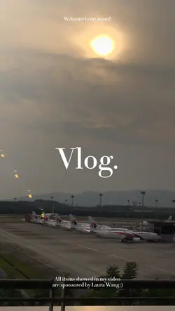 Mini vlog
