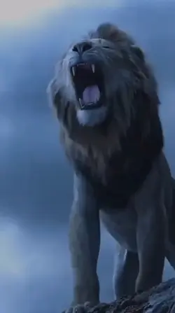 raja singa
