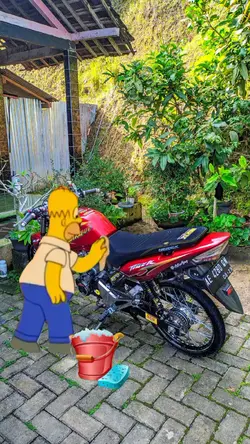lava coches homer