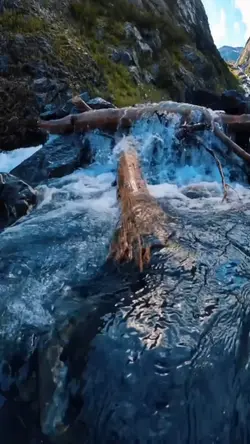 sound viral reel