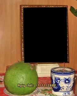 Mẫu troll tiếp nè mn