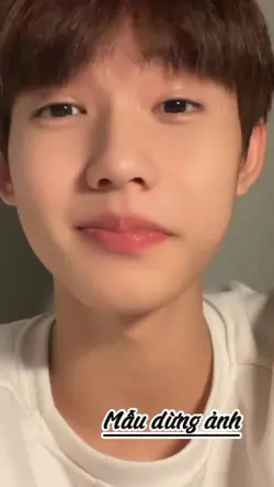 Mẫu Dừng Hình
