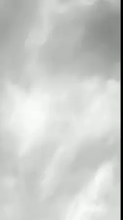 tiktoktrend