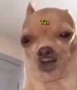 THAY TÊN 