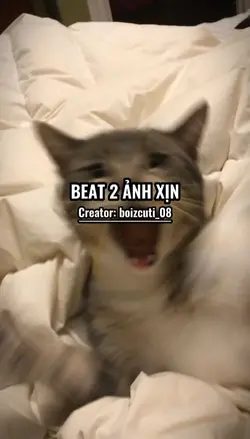BEAT 2 ẢNH XỊN