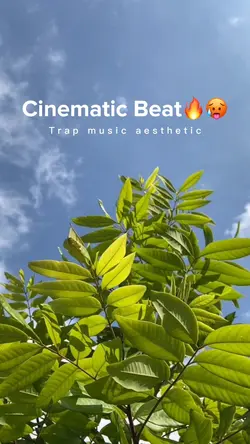Trap Beat Cinematic