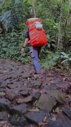 vlog