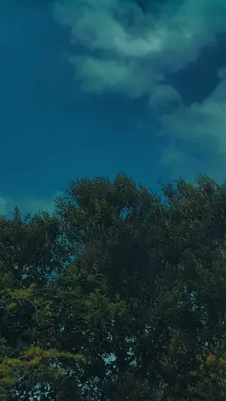 เพลงมาเล 