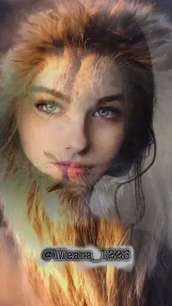 3D Animal Lion