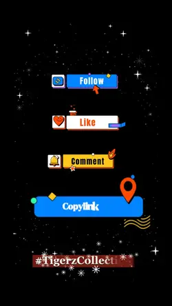 Follow & Following