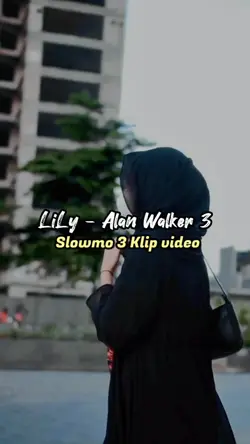 LiLy - Alan Wallker 