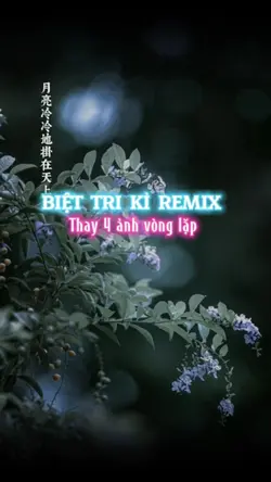 Bié zhī jǐ REMIX