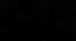시노부만의 탬플릿