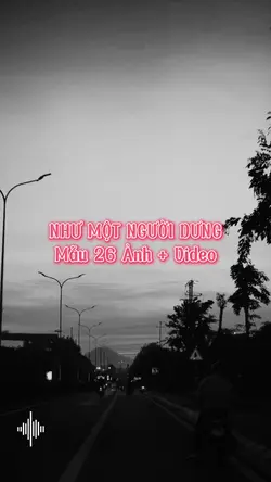 Như Một Người Dưng