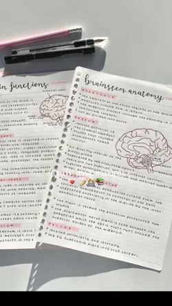 studyyy💪🏻🧠