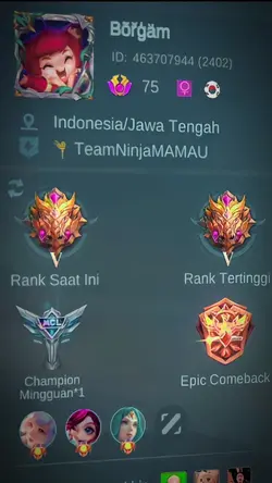 Profil X WAR