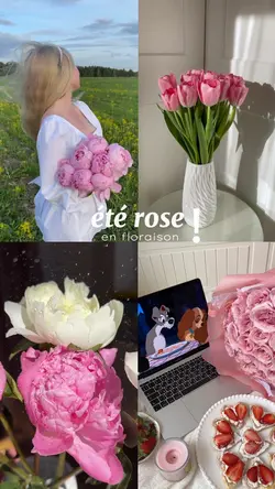 été rose