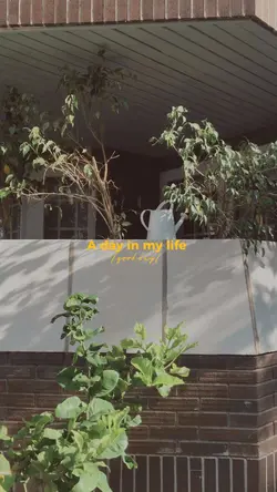 A day in my life
