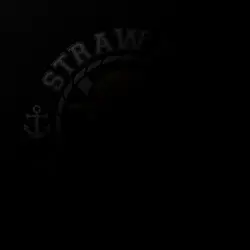 Logo highlight