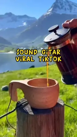 SOUND GITAR VIRAL