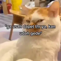 jstru yg lebih gede 