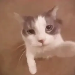 mwah