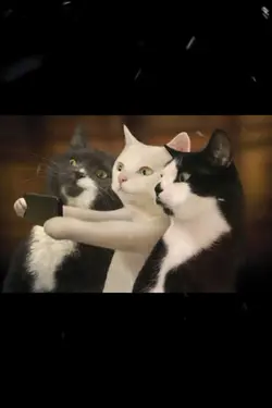 kucing selfie ber 3