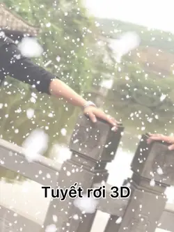 3D