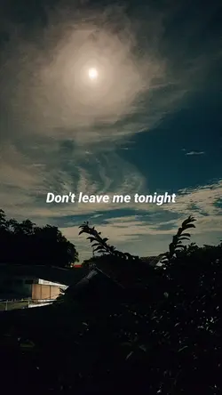 Don't Leave Me