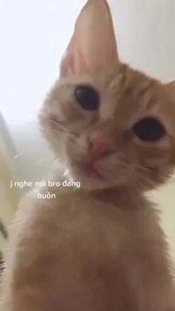 Đừng buồn nữa nhe 